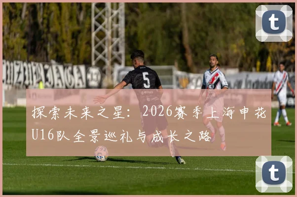 探索未来之星：2026赛季上海申花U16队全景巡礼与成长之路
