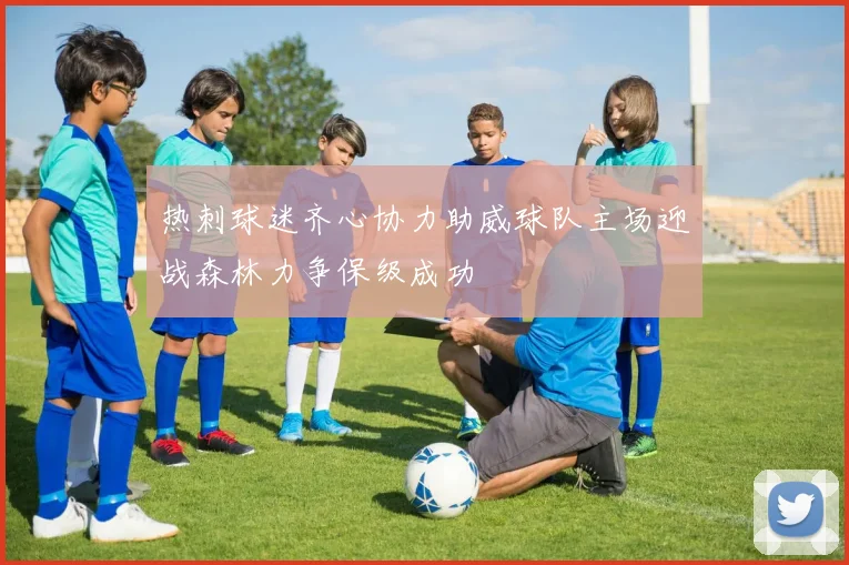 热刺球迷齐心协力助威球队主场迎战森林力争保级成功