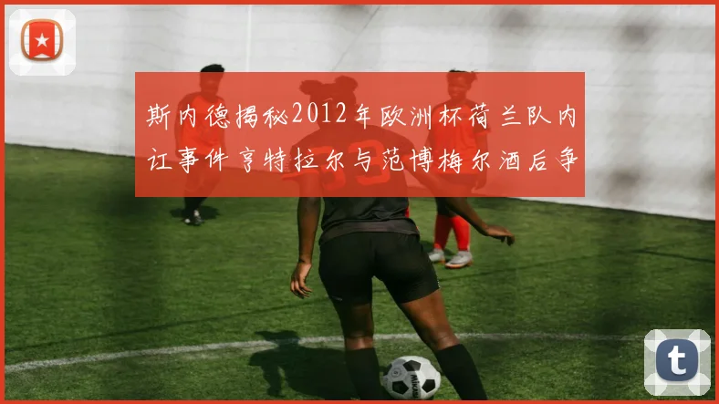 斯内德揭秘2012年欧洲杯荷兰队内讧事件亨特拉尔与范博梅尔酒后争执内幕